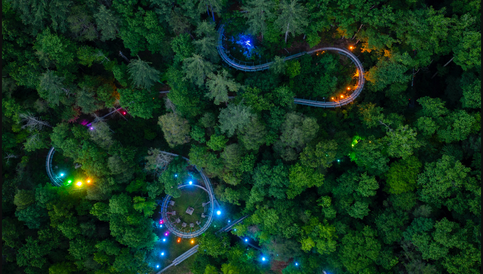 Moonshine Mountain Coaster, United States